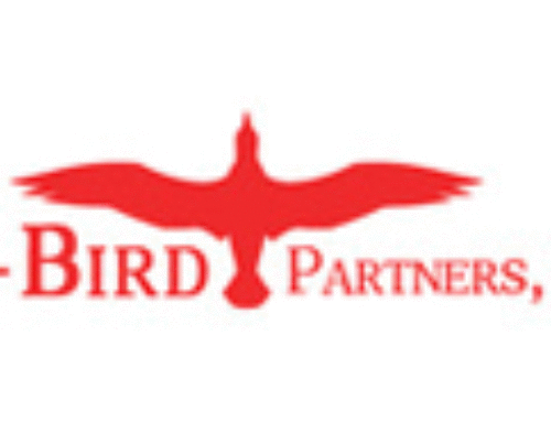 T-Bird Partners, LLC